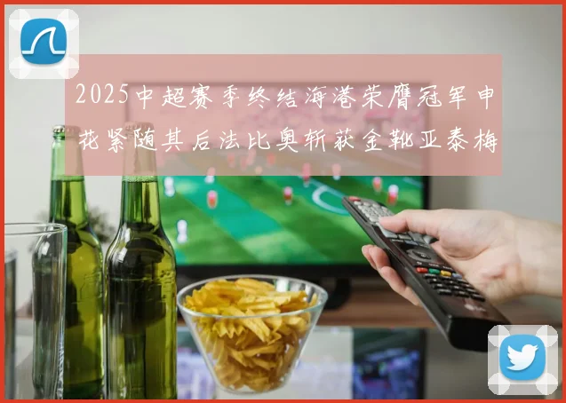 2025中超赛季终结海港荣膺冠军申花紧随其后法比奥斩获金靴亚泰梅州遗憾降级